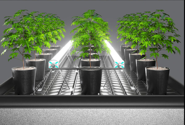 ledgrowlampe-undercanopy120w-4