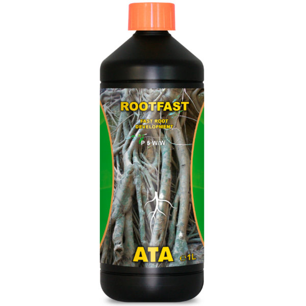 ATAM0015-00
