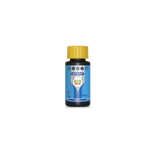 ATAM0041-00
