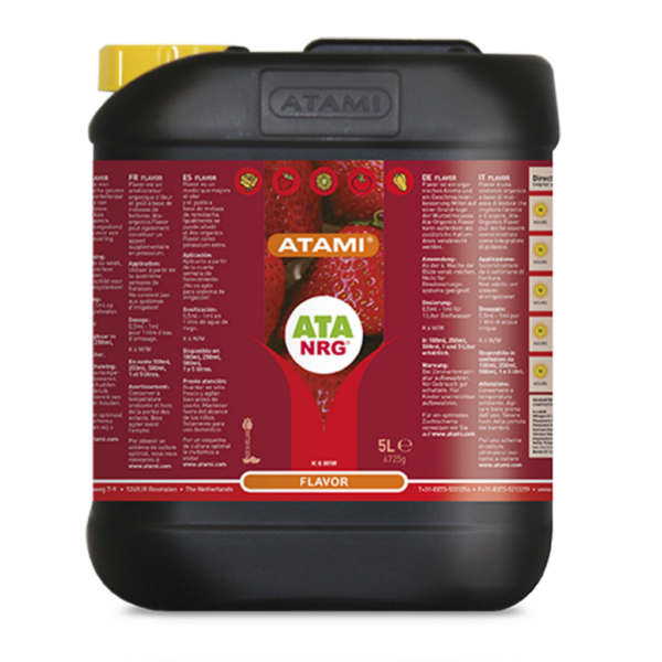 ATAM0056-00