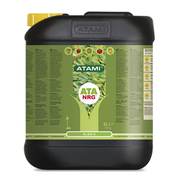 ATAM0058-00