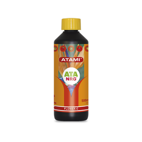 ATAM0107-00