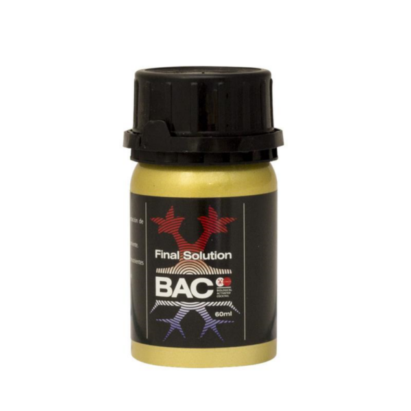 BACC0008-00