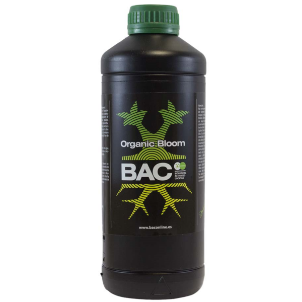 BACC0011-00