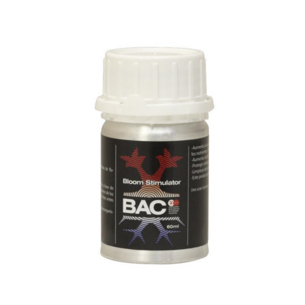 BACC0013-00