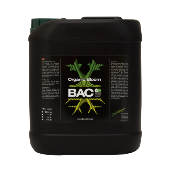 BACC0018-00