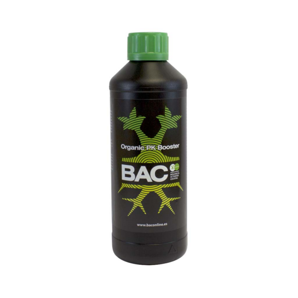 BACC0019-00