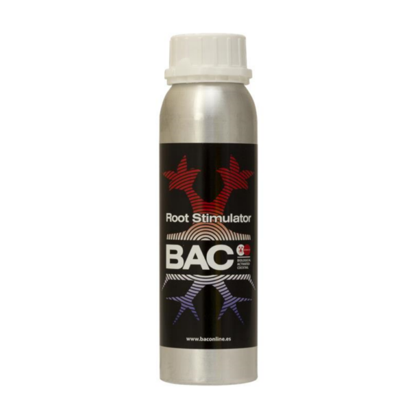 BACC0024-00