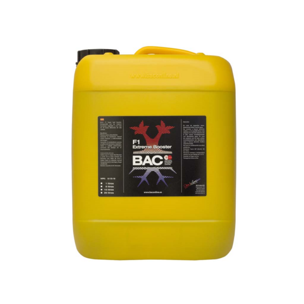 BACC0026-00