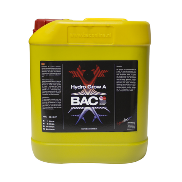 BACC0031-00