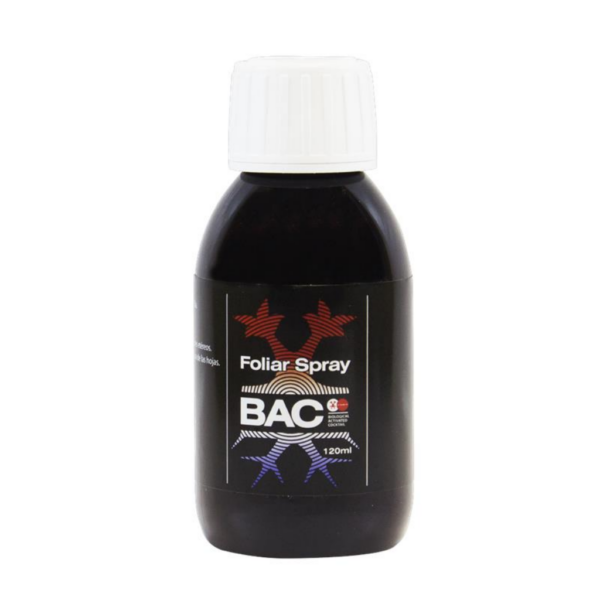 BACC0033-00