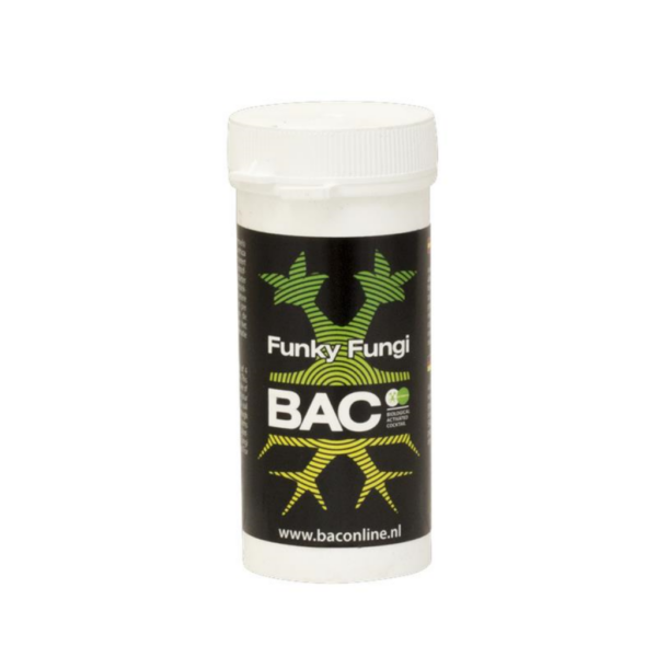 BACC0034-00