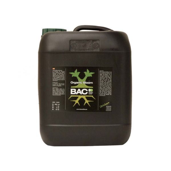 BACC0035-00