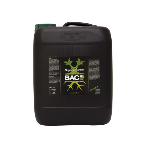 BACC0036-00