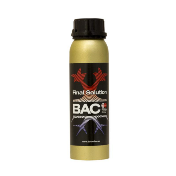 BACC0038-00