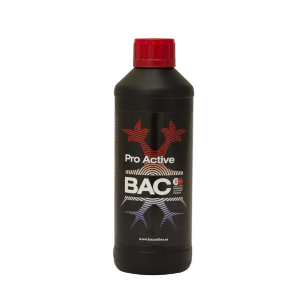 BACC0041-00
