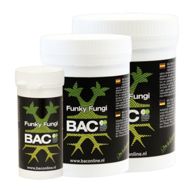 BACC0049-00