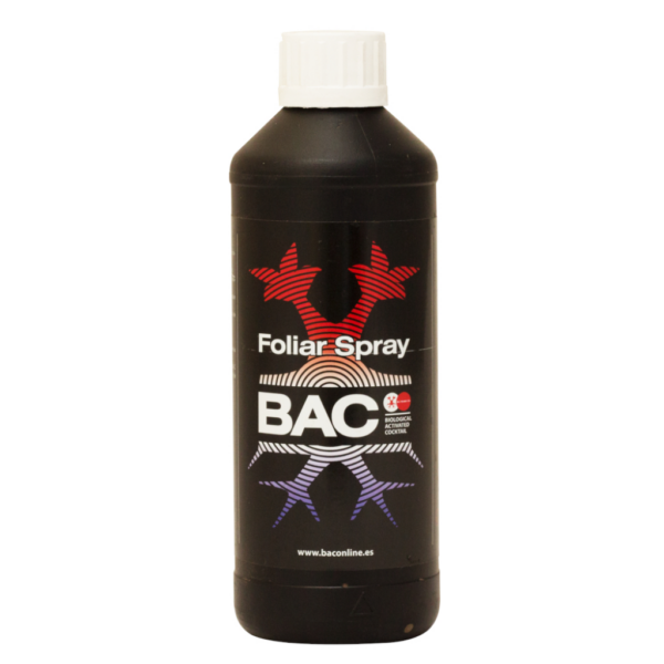 BACC0099-00