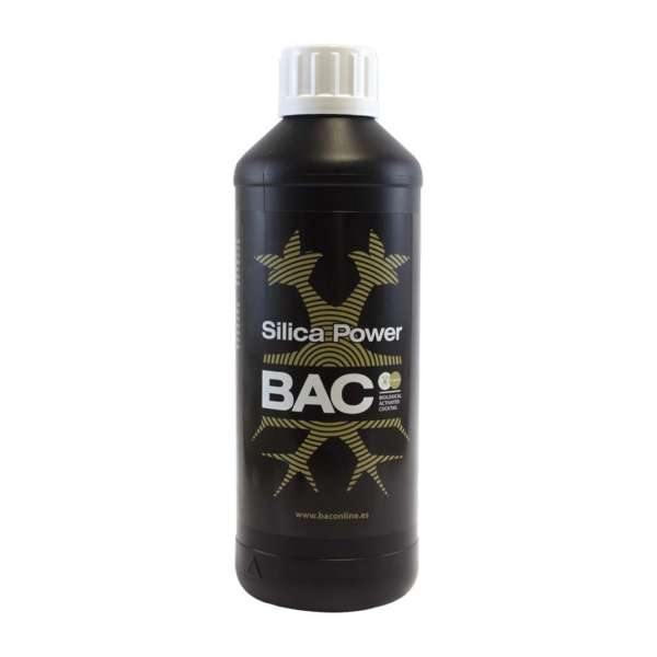 BACC0108-00
