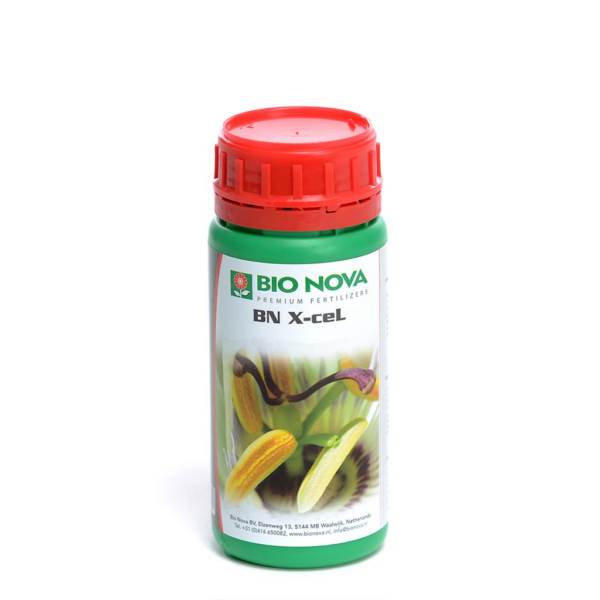 BION0024-00