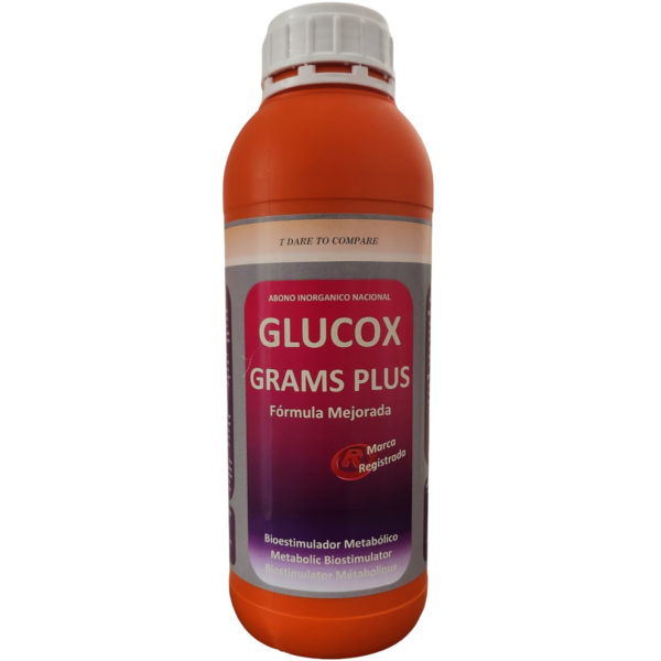 GLUC0001-00