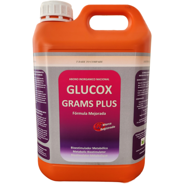 GLUC0002-00