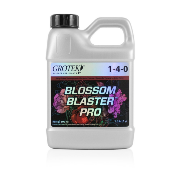 GROT0062-00