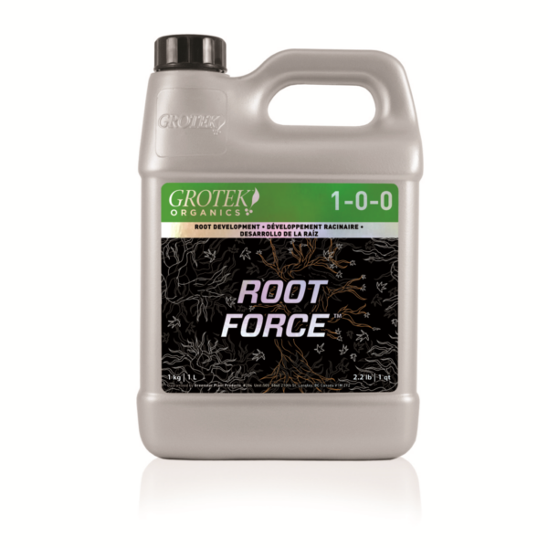 GROT0093-00