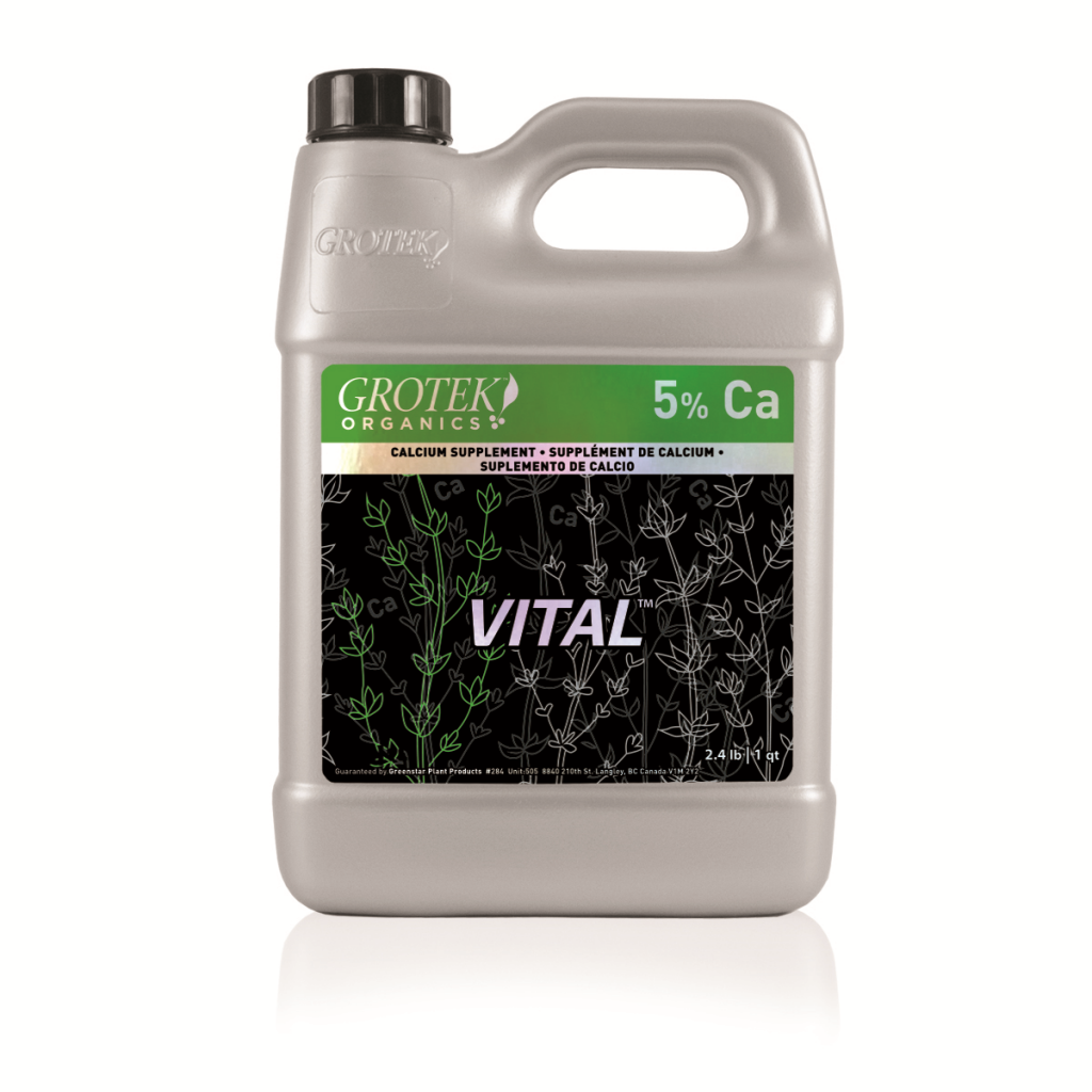 GROT0095-00 GROT0095-00