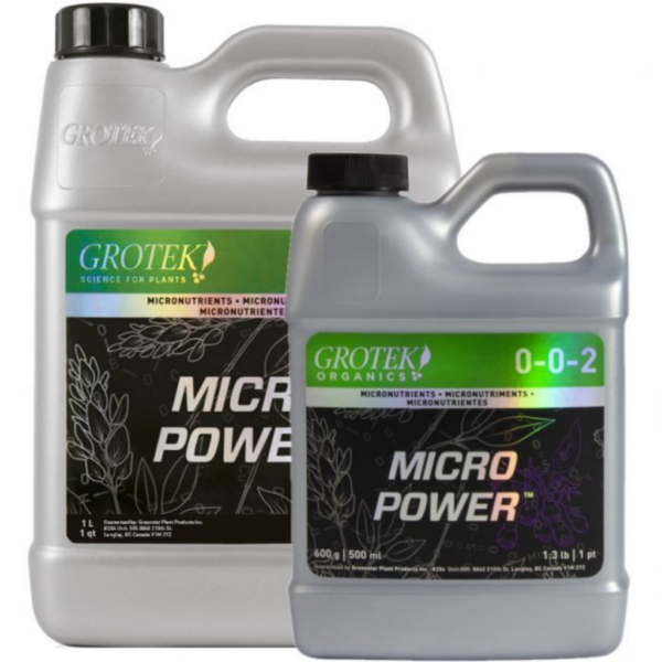 GROT0131-00
