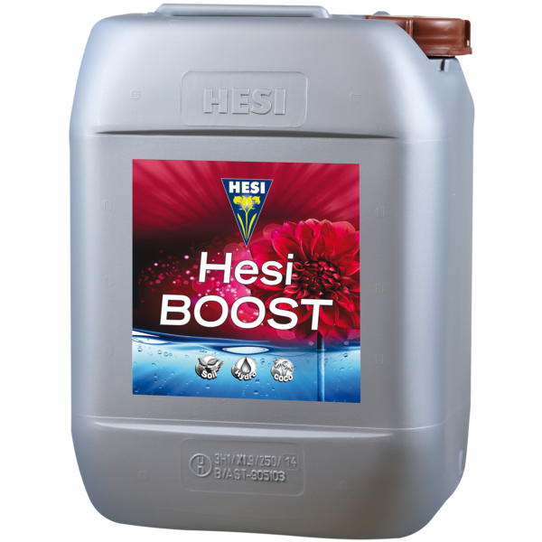 HESI0038-00
