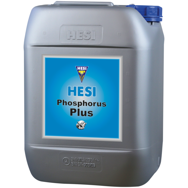 HESI0047-00