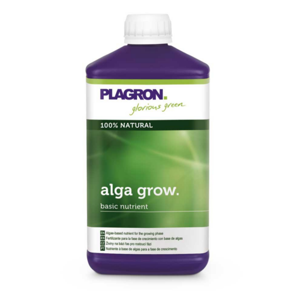 PLAG0005-00