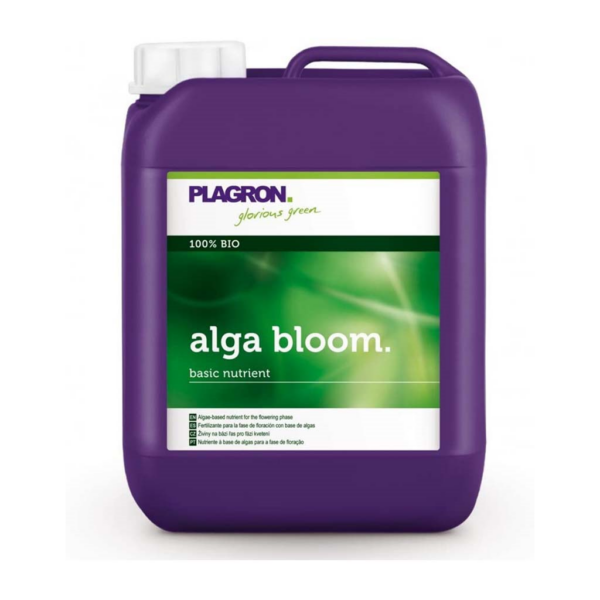 PLAG0008-00