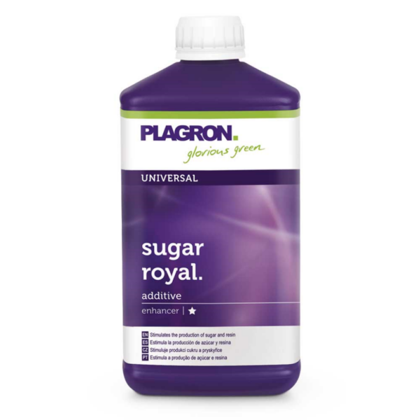 PLAG0026-00