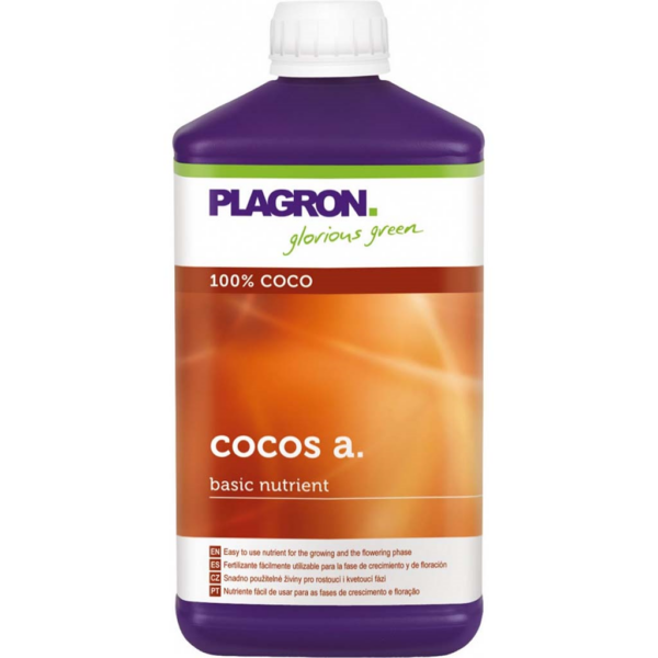 PLAG0031-00