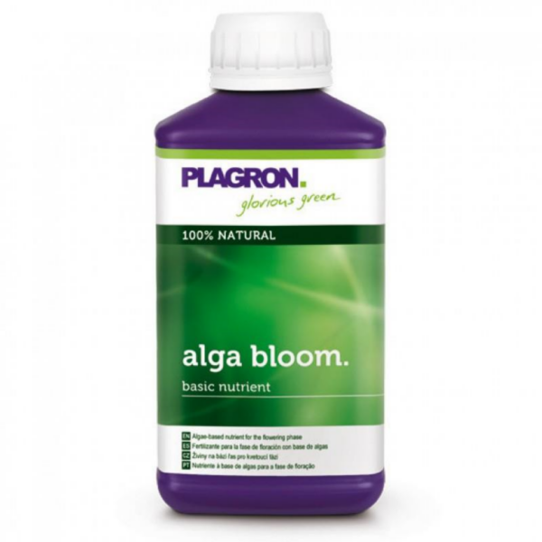 PLAG0035-00