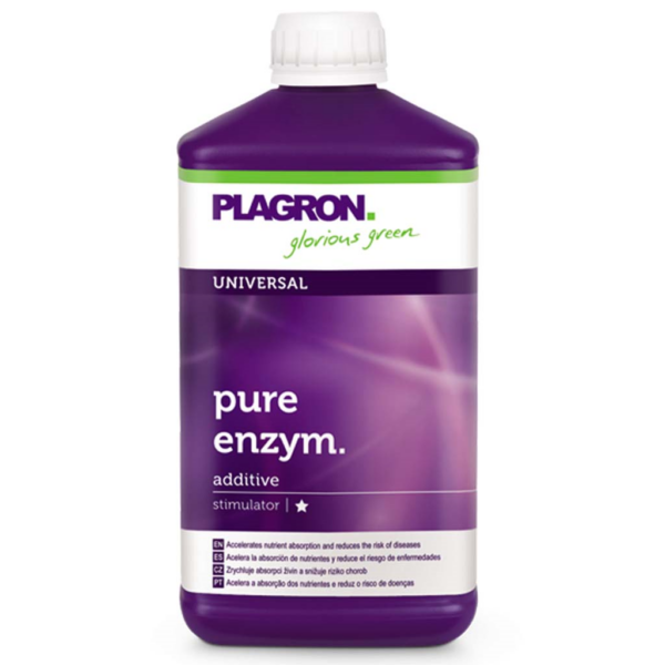 PLAG0043-00