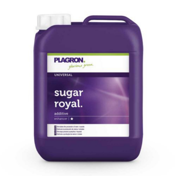 PLAG0054-00