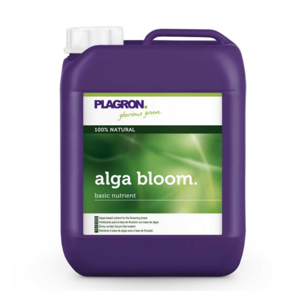 PLAG0055-00