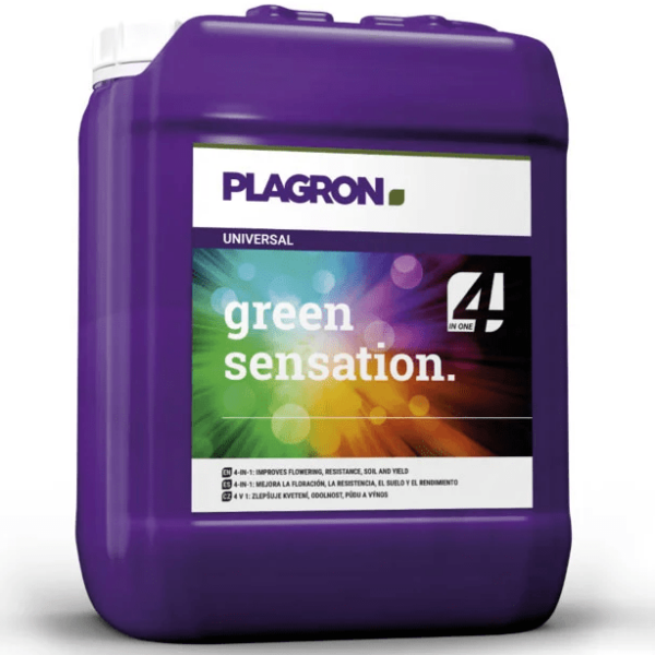 PLAG0070-00