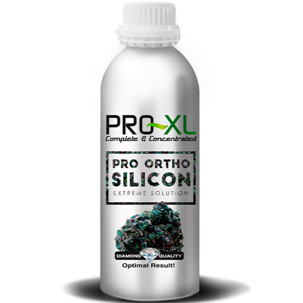 PROX0062-00