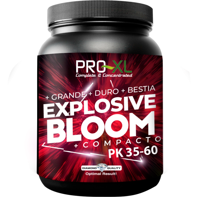 PROX0066-00 PROX0066-00