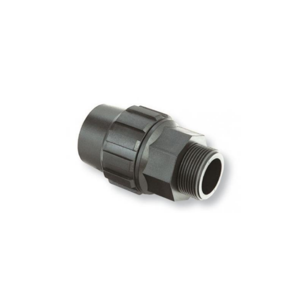 RIEG0024-00