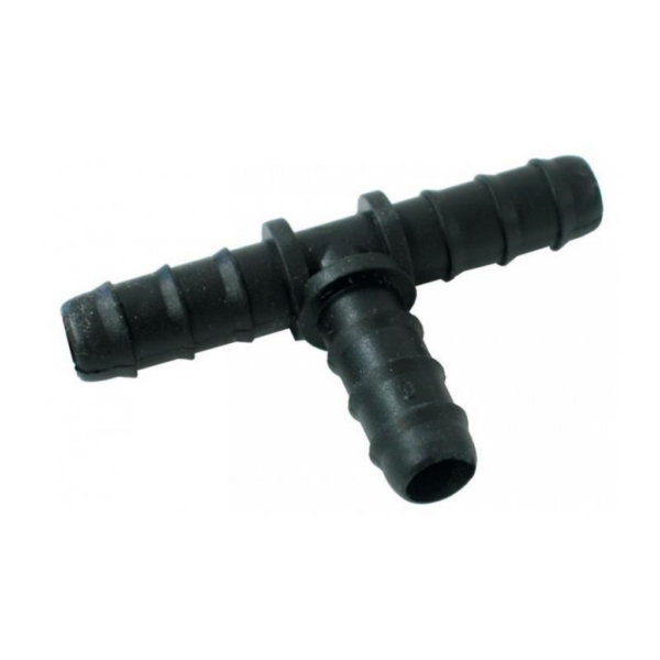 RIEG0155-00