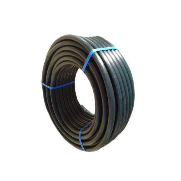RIEG0253-00