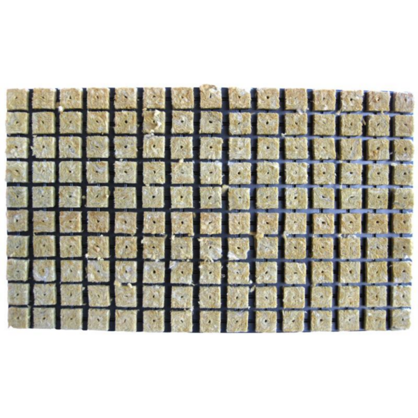 SUST0063-00