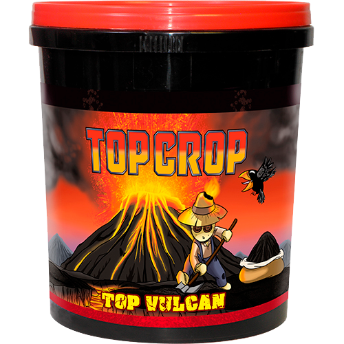 TOPC0009-00