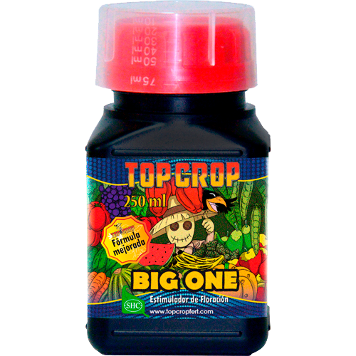 TOPC0012-00