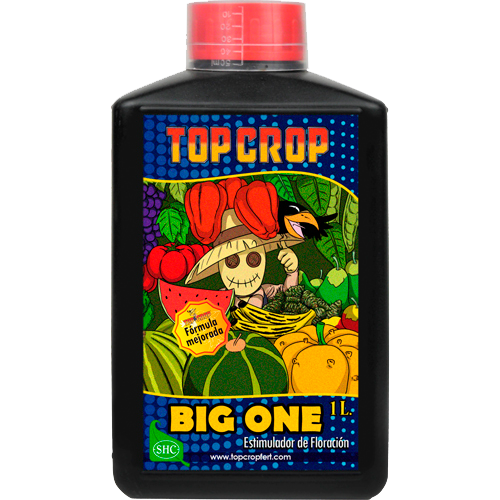 TOPC0019-00